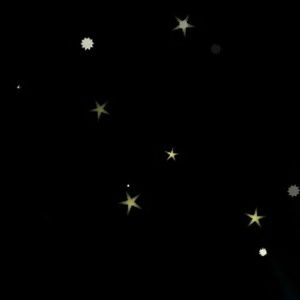 Meet your Posher, Aalyha